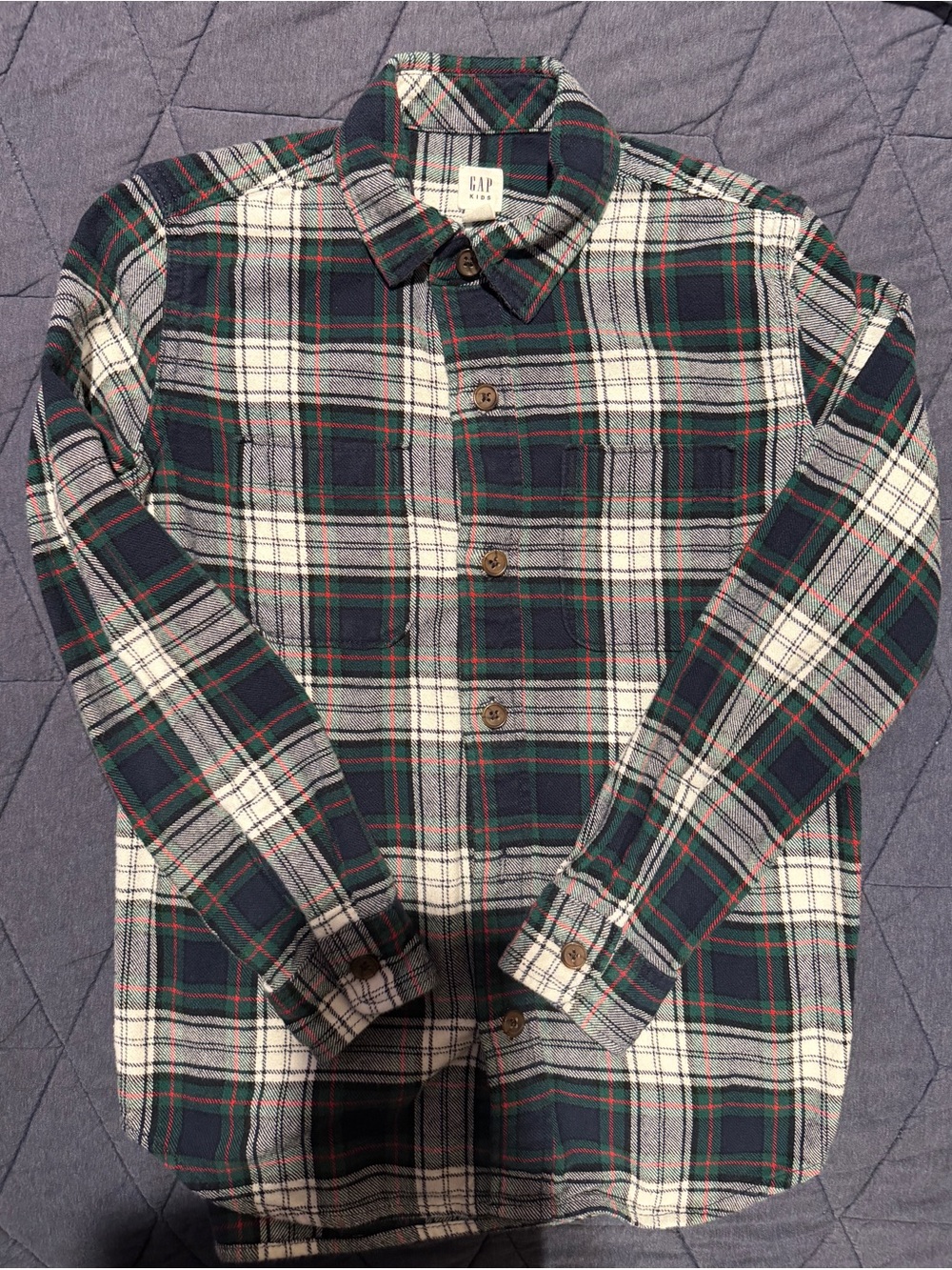 GAP Youth Flannel